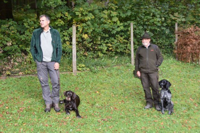 Hundepräsentation 2020
